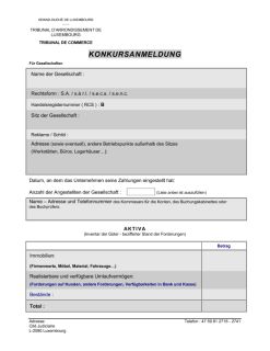 Konkursanmeldung (Insolvenzantrag - Handelsgericht Luxemburg)