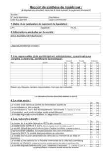 liquidations-rapport-liquidateur.pdf
