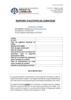 Rapport d'activité du curateur au parquet économique (parquet de Luxembourg)